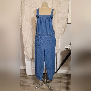 Anthropology Pilcro Plus Size Overalls 18w